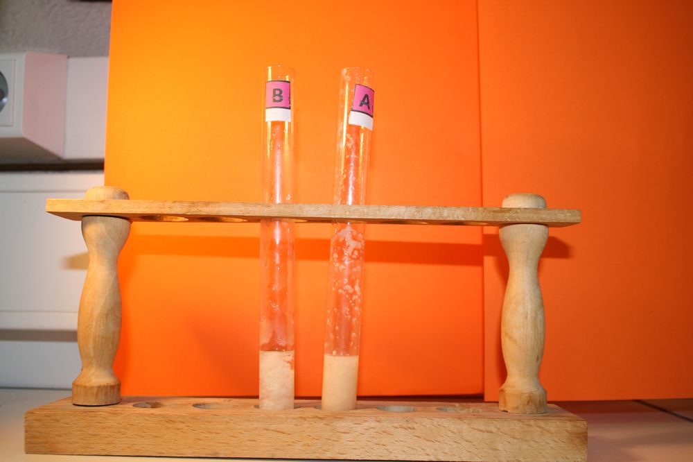 gal/LES_CINQUIEMES/ACTIVITE DIGESTION IN VITRO/Groupe_04/Groupe04_T_00h00min/Groupe04_T_00h_00min_20.JPG